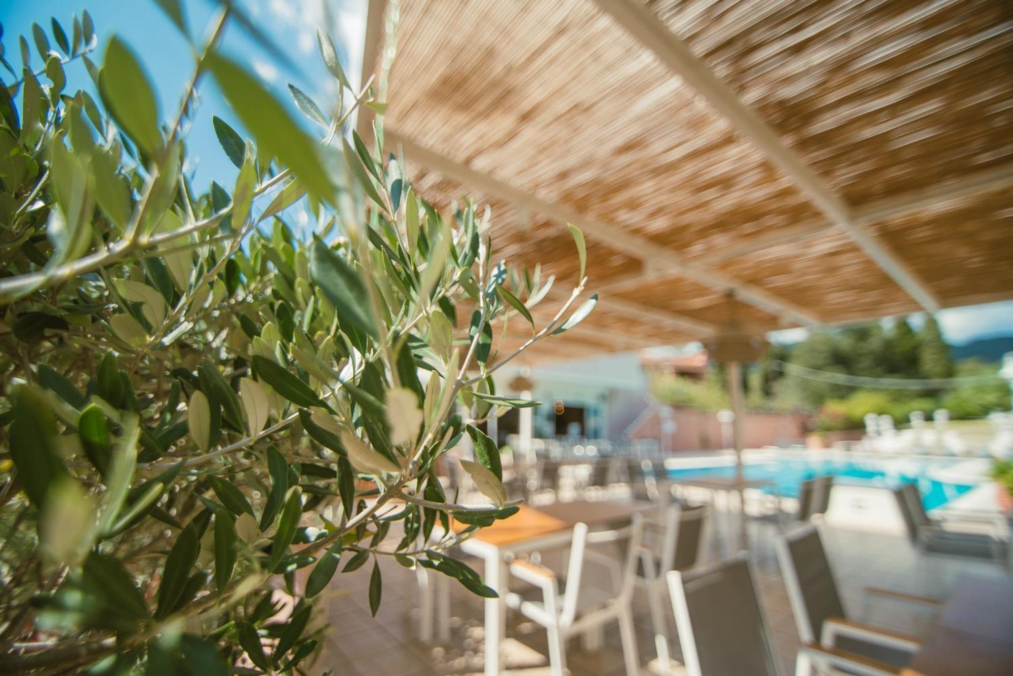 Dominoes Corfu Aparthotel Ypsos Exterior photo